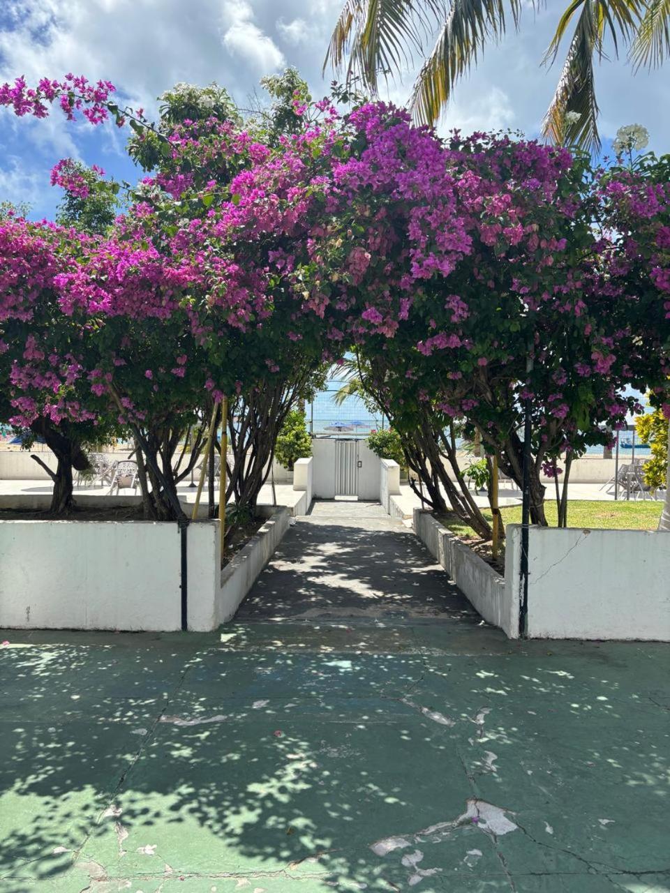 Apto 3 Quartos Pe Na Areia Prox De Recife Zewnętrze zdjęcie